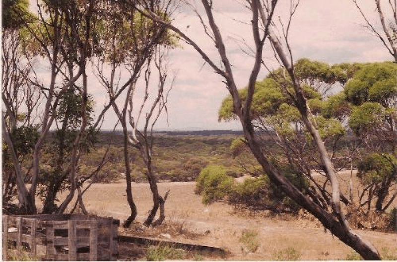 SCEALE BAY ROAD, STREAKY BAY, Streaky Bay, SA 5680