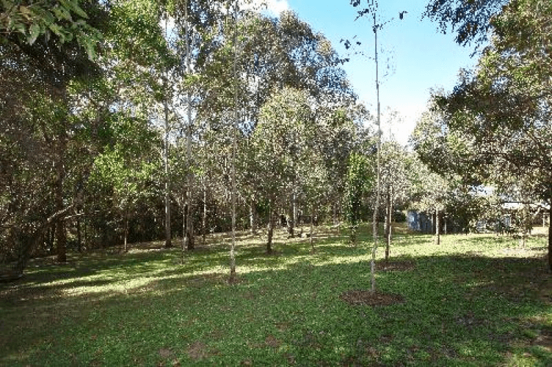 3 Limerick Drive Witheren, Canungra, Qld, Canungra, QLD 4275