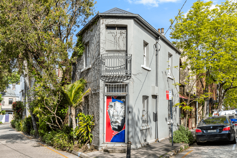 14 Chisholm Street, DARLINGHURST, NSW 2010