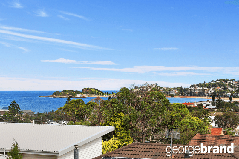 24 Dover Road, WAMBERAL, NSW 2260