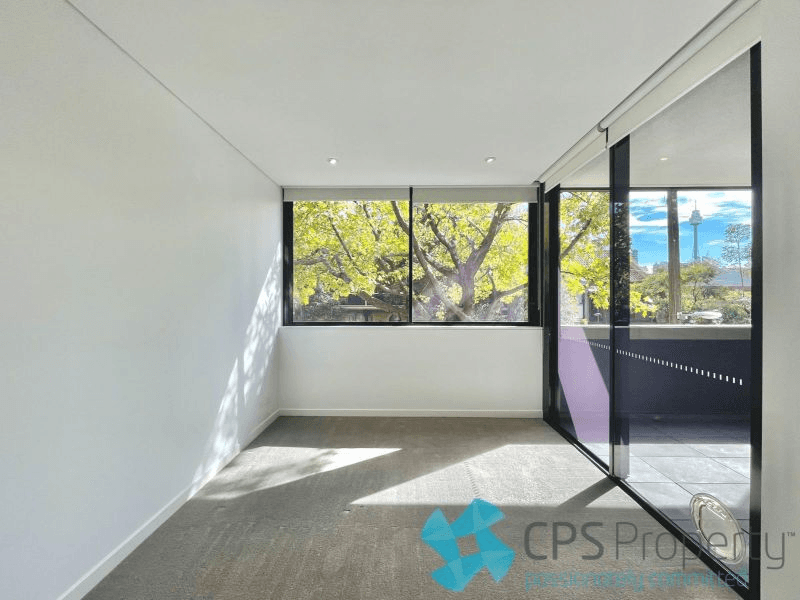 8/299 Forbes Street, DARLINGHURST, NSW 2010