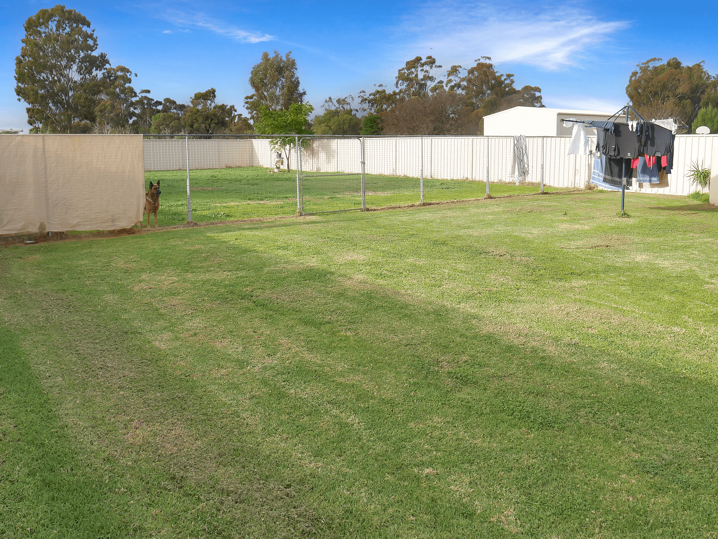 14 Golf Club Drive, LEETON, NSW 2705