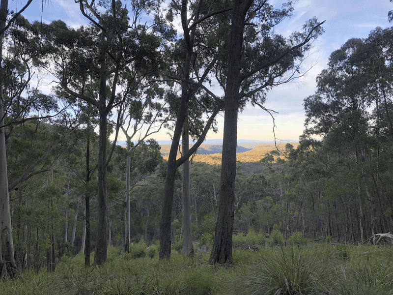 Lot 1 Braidwood Road, BOOLIJAH, NSW 2540