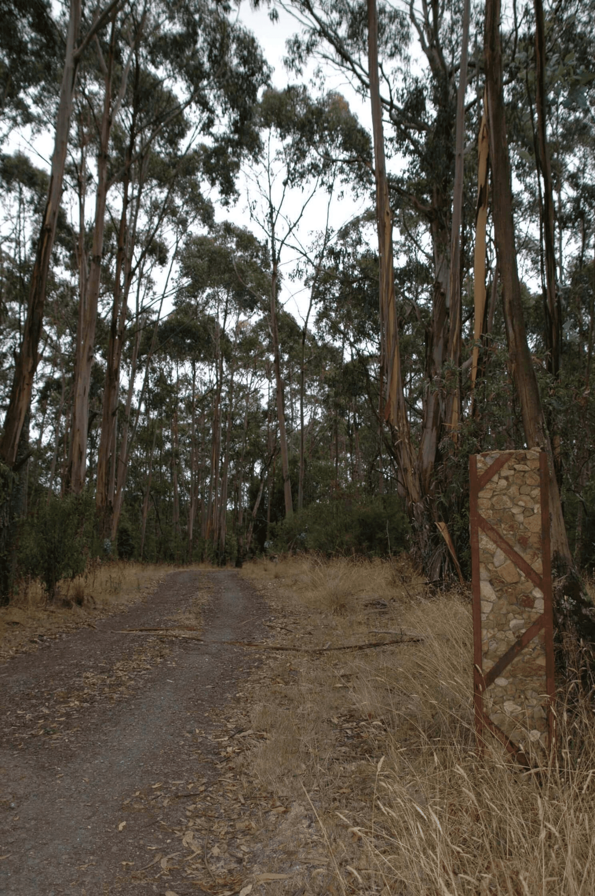 90 Sincocks Road, Deans Marsh, VIC 3235