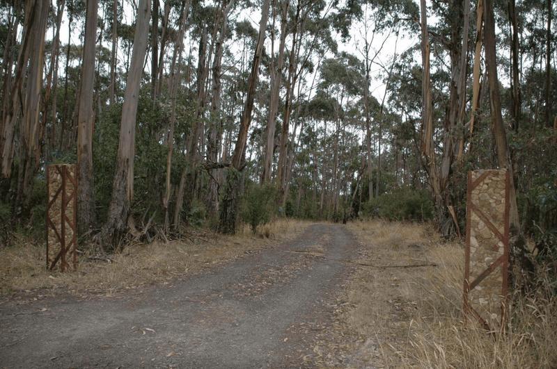 90 Sincocks Road, Deans Marsh, VIC 3235