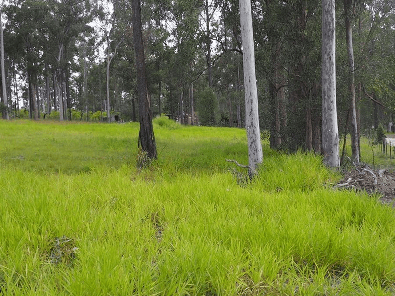 Lot 301 Arborten Road, GLENWOOD, QLD 4570