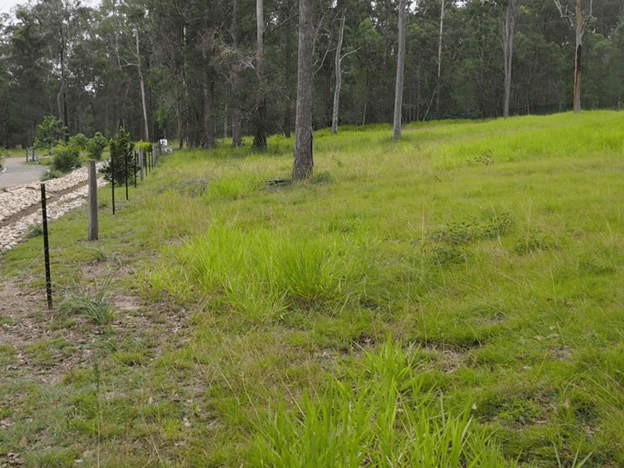 Lot 301 Arborten Road, GLENWOOD, QLD 4570