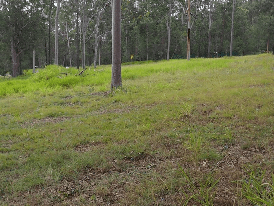 Lot 301 Arborten Road, GLENWOOD, QLD 4570