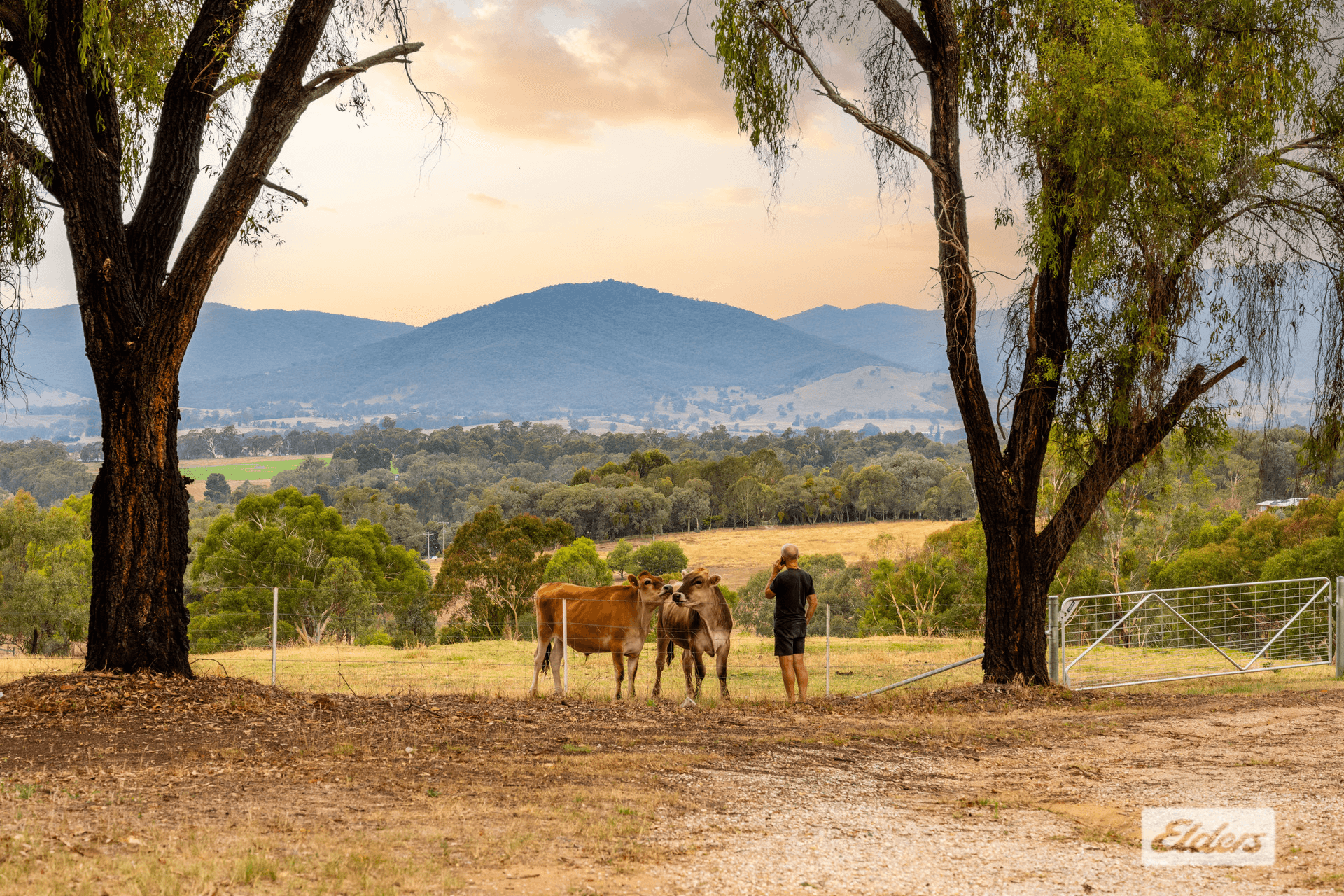 97 Back Creek Road, Yackandandah, VIC 3749