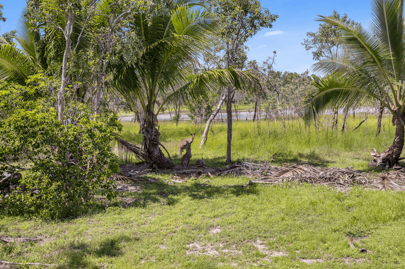 38 Pioneer Drive, DINGO BEACH, QLD 4800