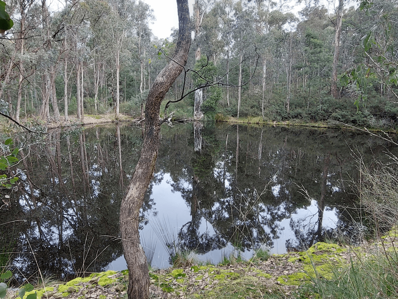 120 Roberts Road, BUCHAN SOUTH, VIC 3885