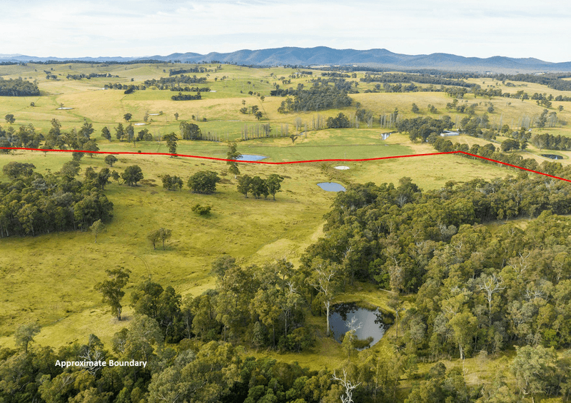 120 Roberts Road, BUCHAN SOUTH, VIC 3885