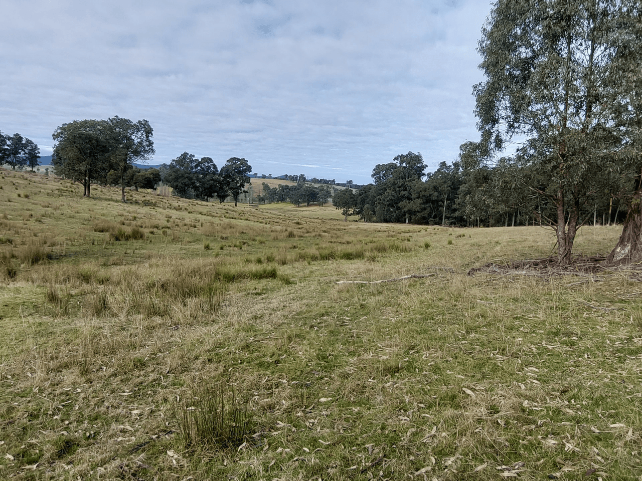 120 Roberts Road, BUCHAN SOUTH, VIC 3885