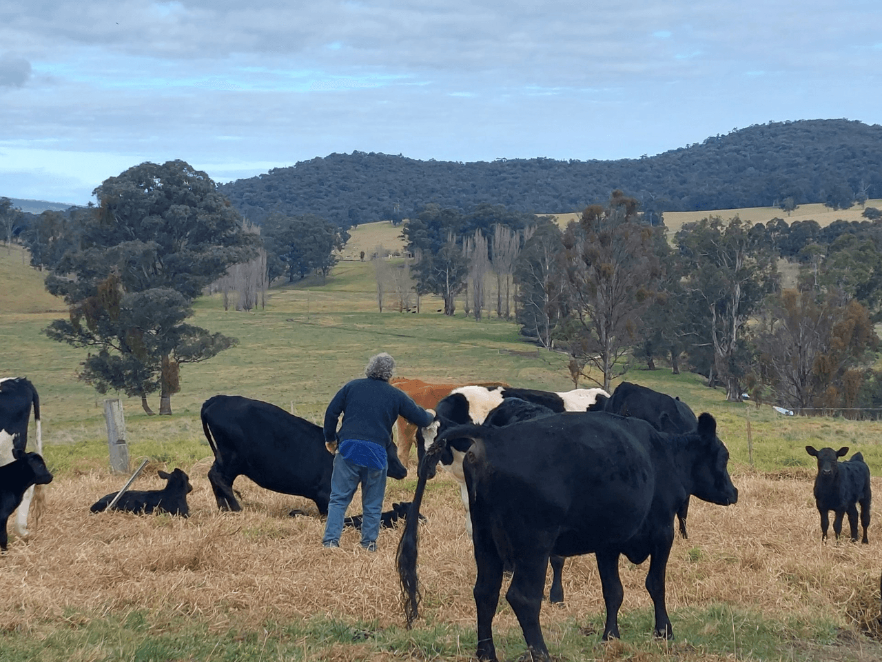 120 Roberts Road, BUCHAN SOUTH, VIC 3885