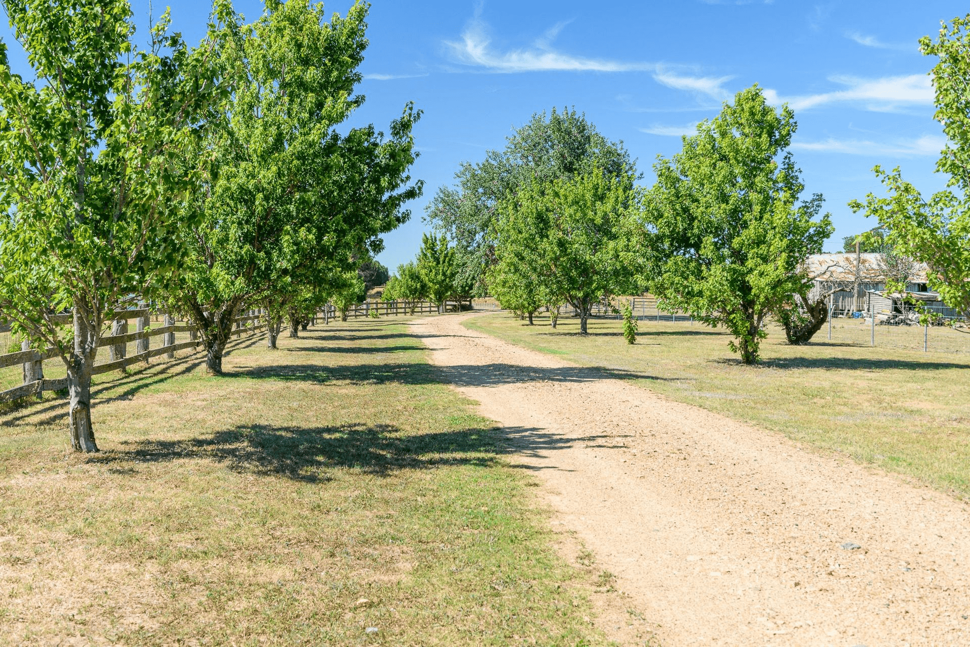 62 Mundays Lane, Saumarez Ponds, NSW 2350