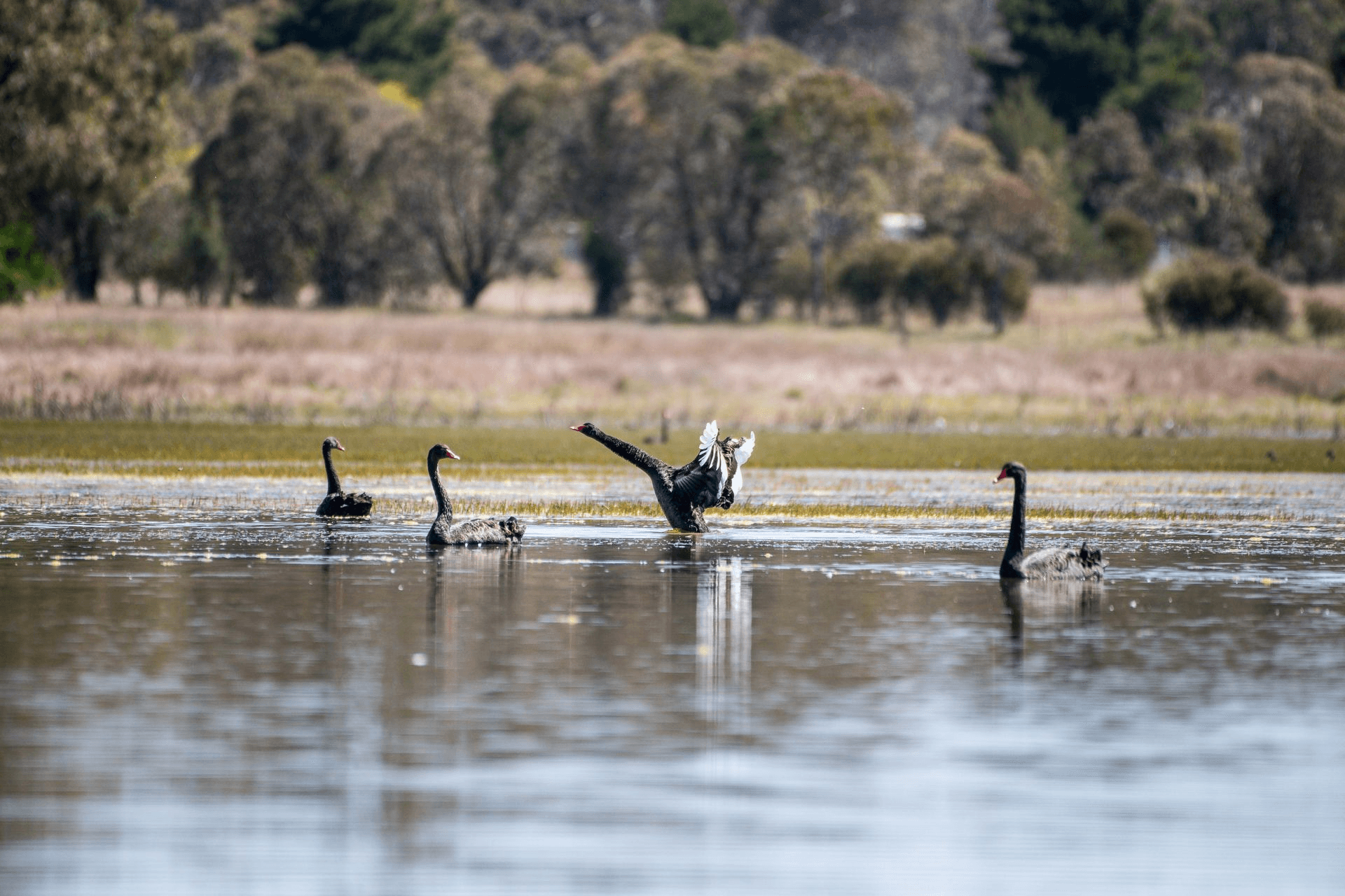 62 Mundays Lane, Saumarez Ponds, NSW 2350