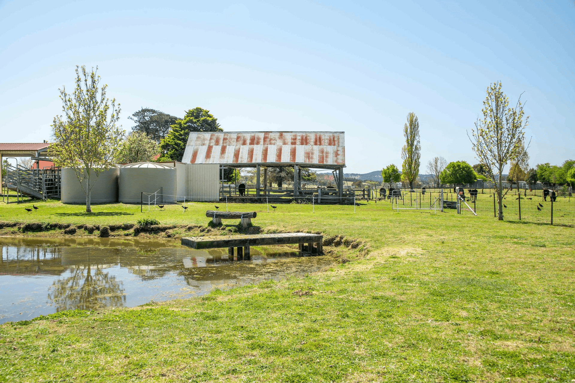 62 Mundays Lane, Saumarez Ponds, NSW 2350