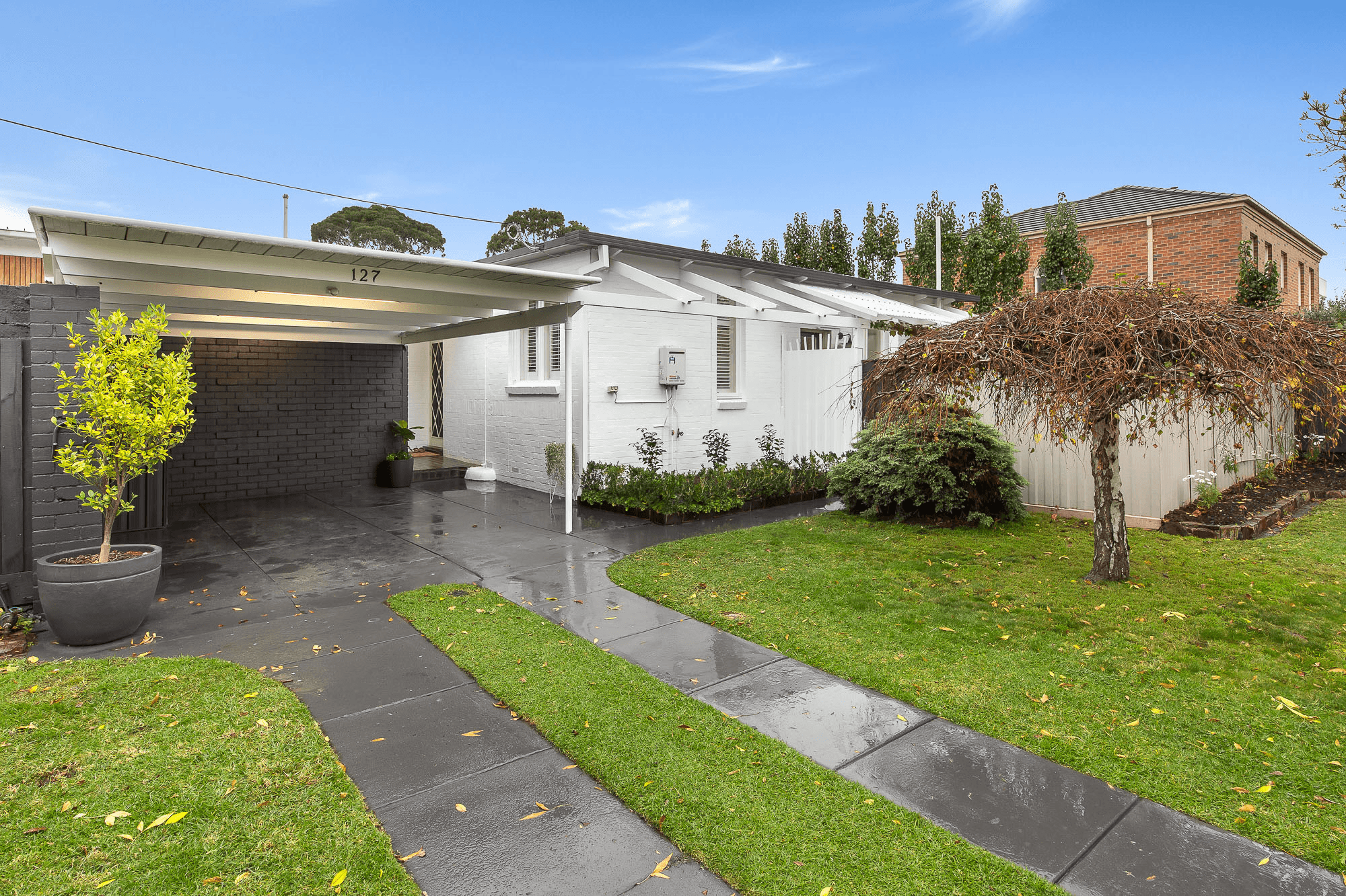 1/127 Dendy Street, Brighton, VIC 3186