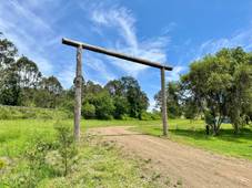 Lot 88 Calamia Road, OLD GREVILLIA, NSW 2474