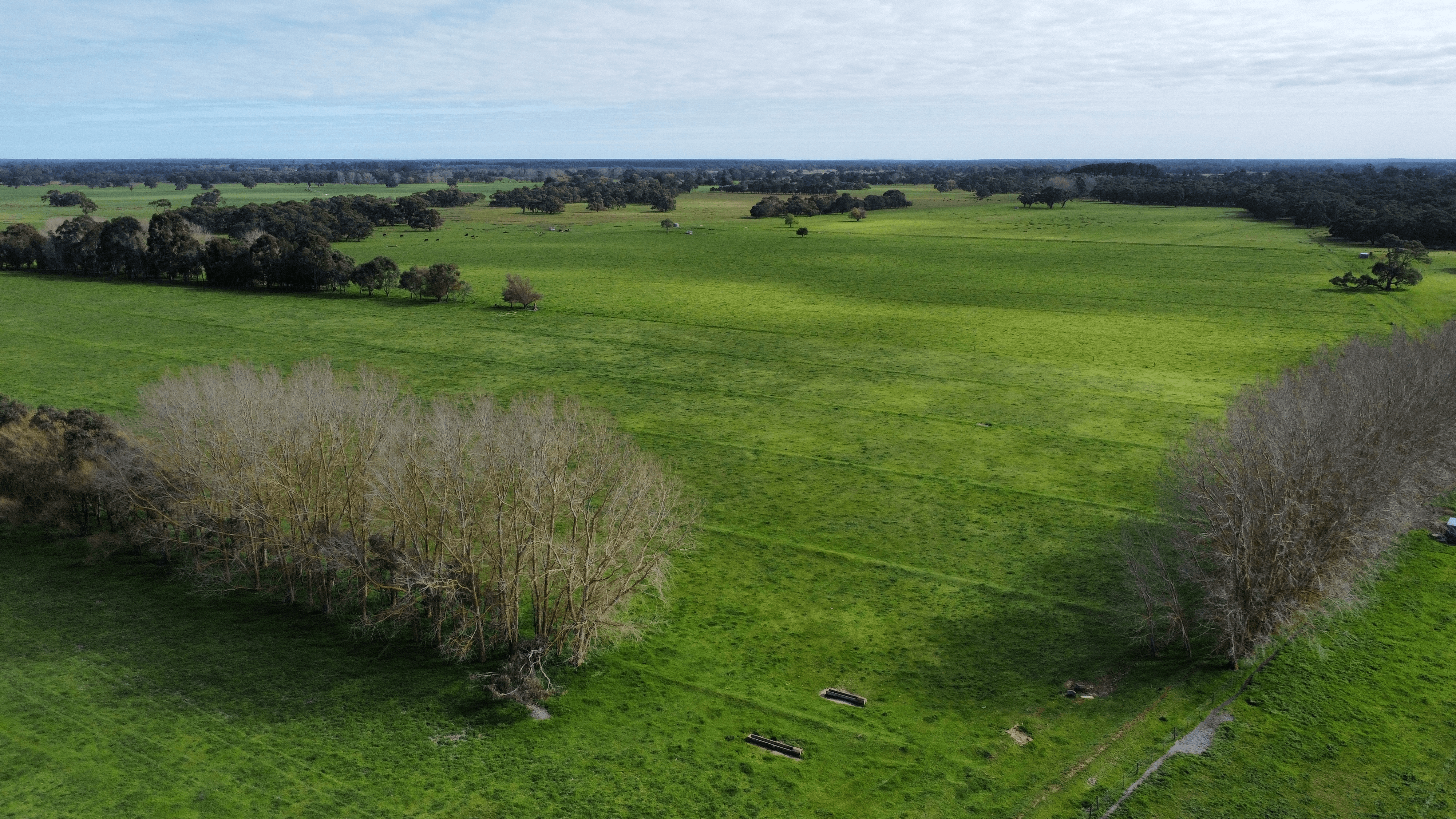 5422 Clay Wells Road, Penola, SA 5277