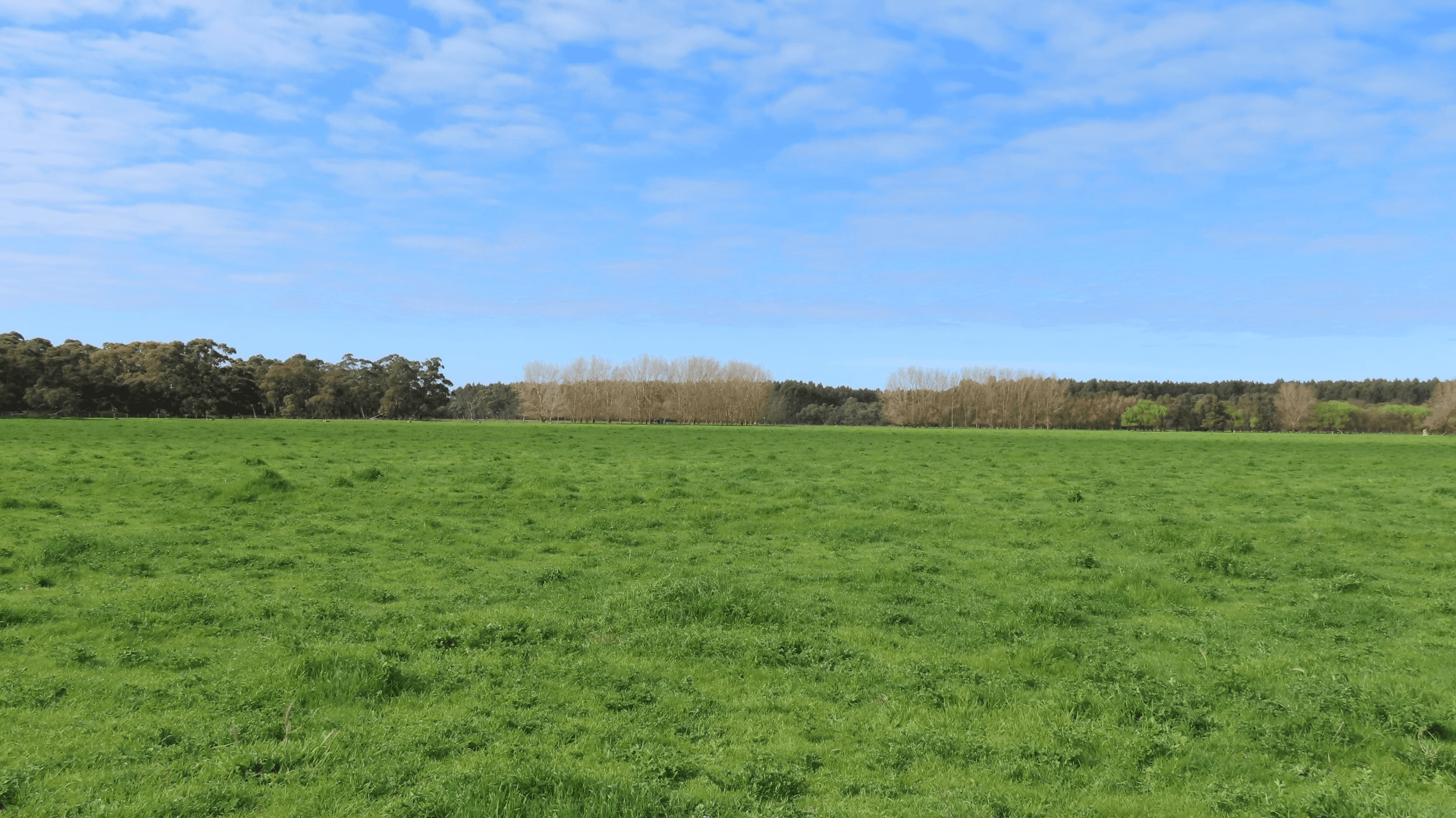 5422 Clay Wells Road, Penola, SA 5277