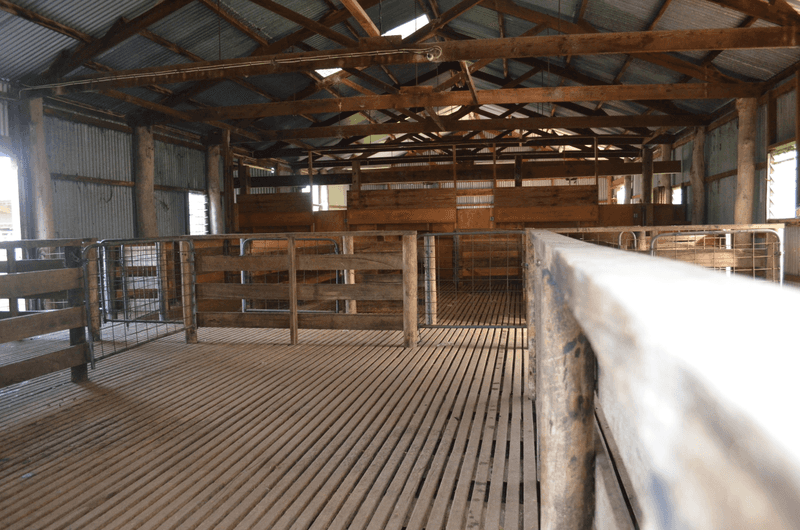 5422 Clay Wells Road, Penola, SA 5277