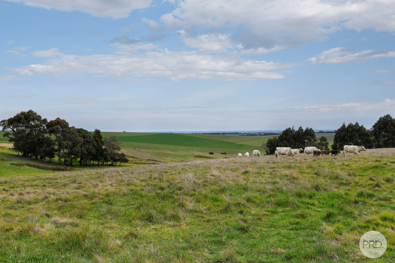 Savage Hill Road, DEREEL, VIC 3352