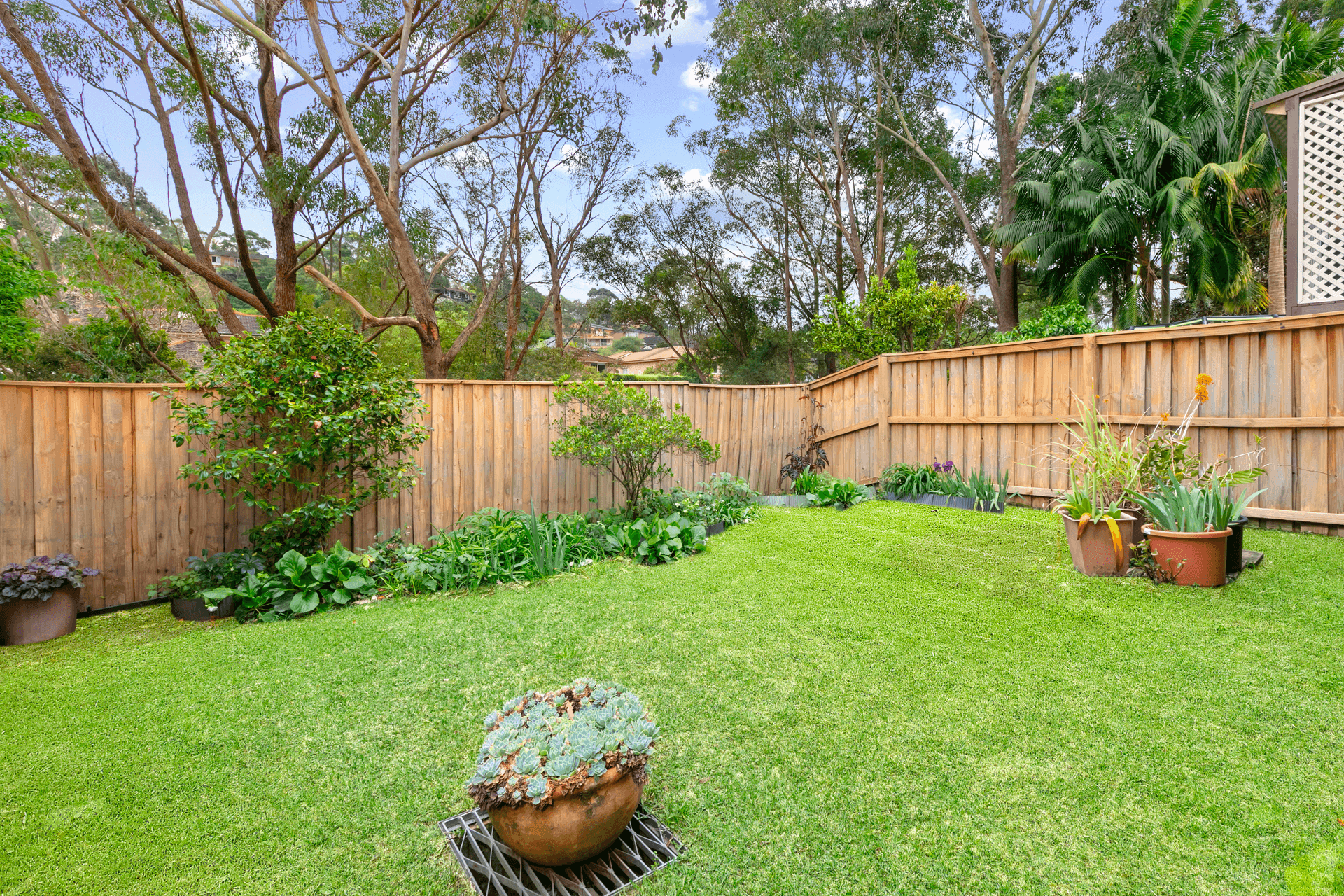 33a Carnarvon Drive, Frenchs Forest, NSW 2086