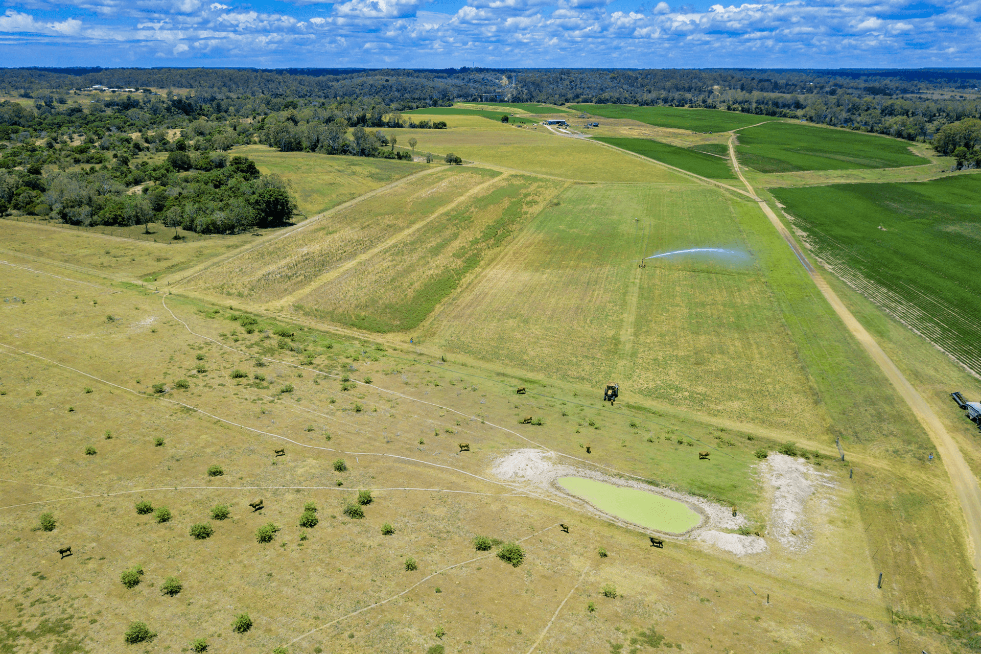 223 Nolans Pocket Road, South Kolan, QLD 4670