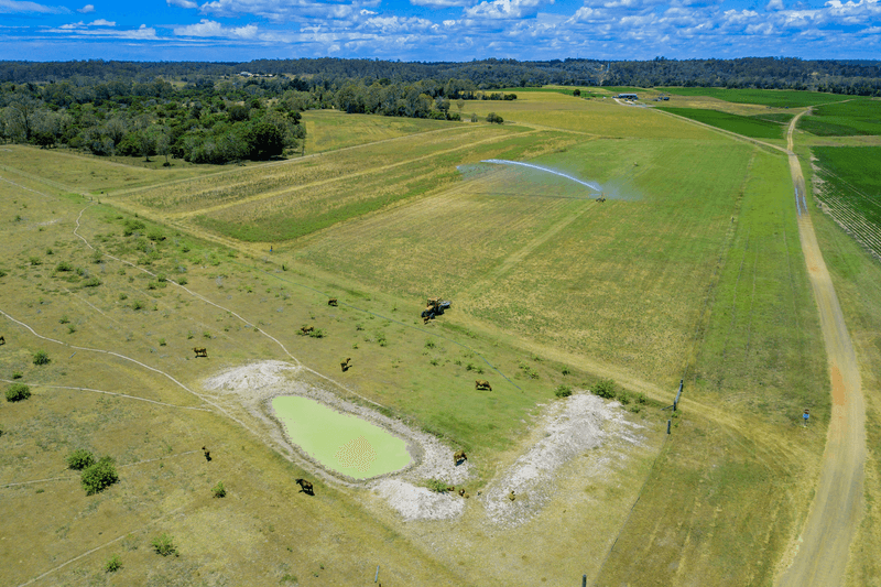 223 Nolans Pocket Road, South Kolan, QLD 4670