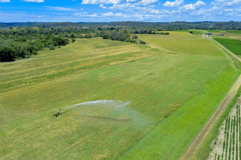 223 Nolans Pocket Road, South Kolan, QLD 4670