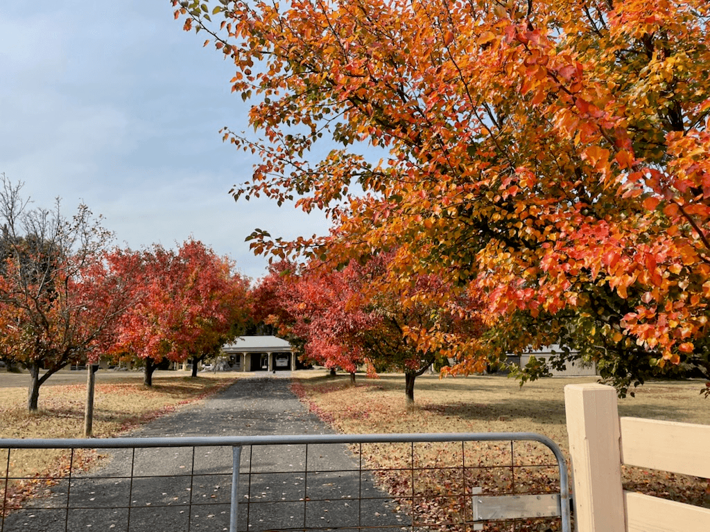 88 Woodvale Crescent, LANCEFIELD, VIC 3435