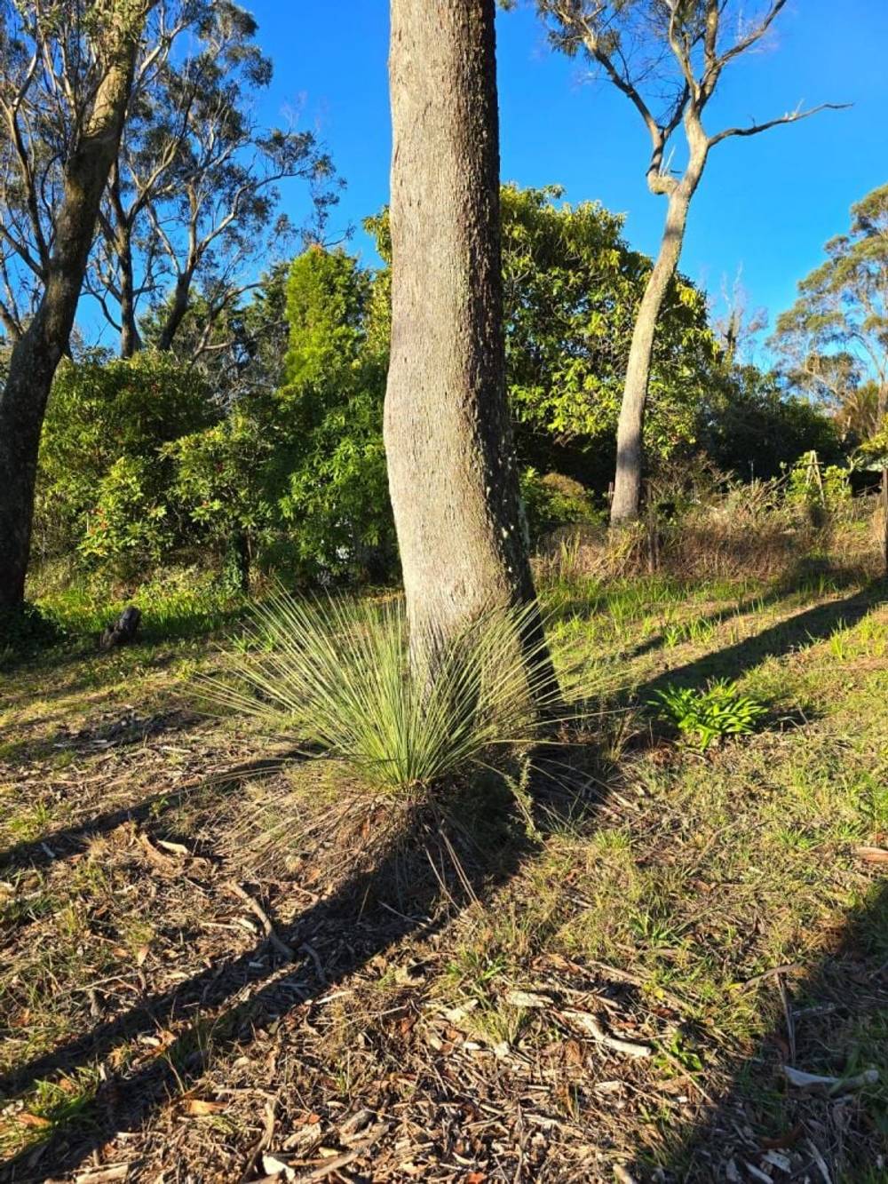 40 Essendene Road, Katoomba, NSW 2780