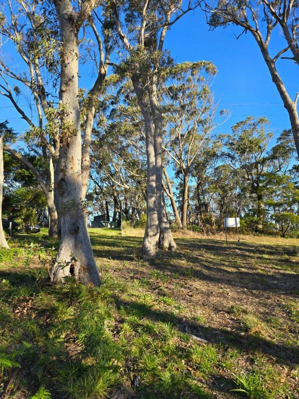 40 Essendene Road, Katoomba, NSW 2780