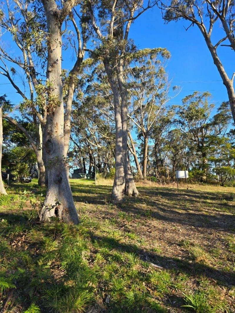 40 Essendene Road, Katoomba, NSW 2780