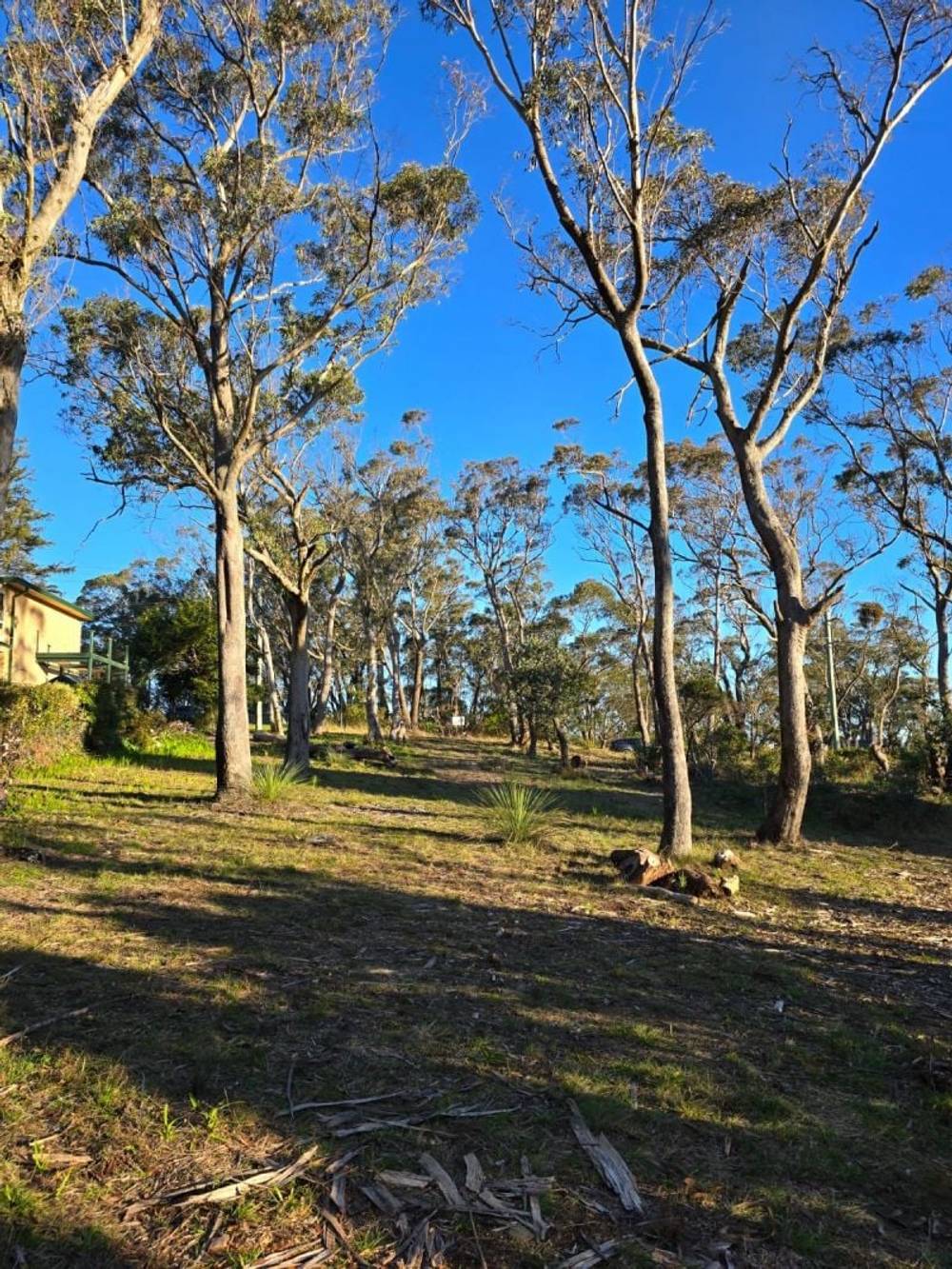 40 Essendene Road, Katoomba, NSW 2780