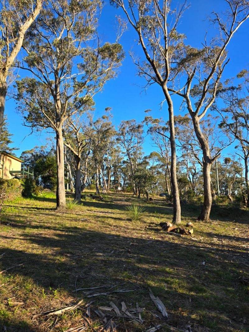 40 Essendene Road, Katoomba, NSW 2780