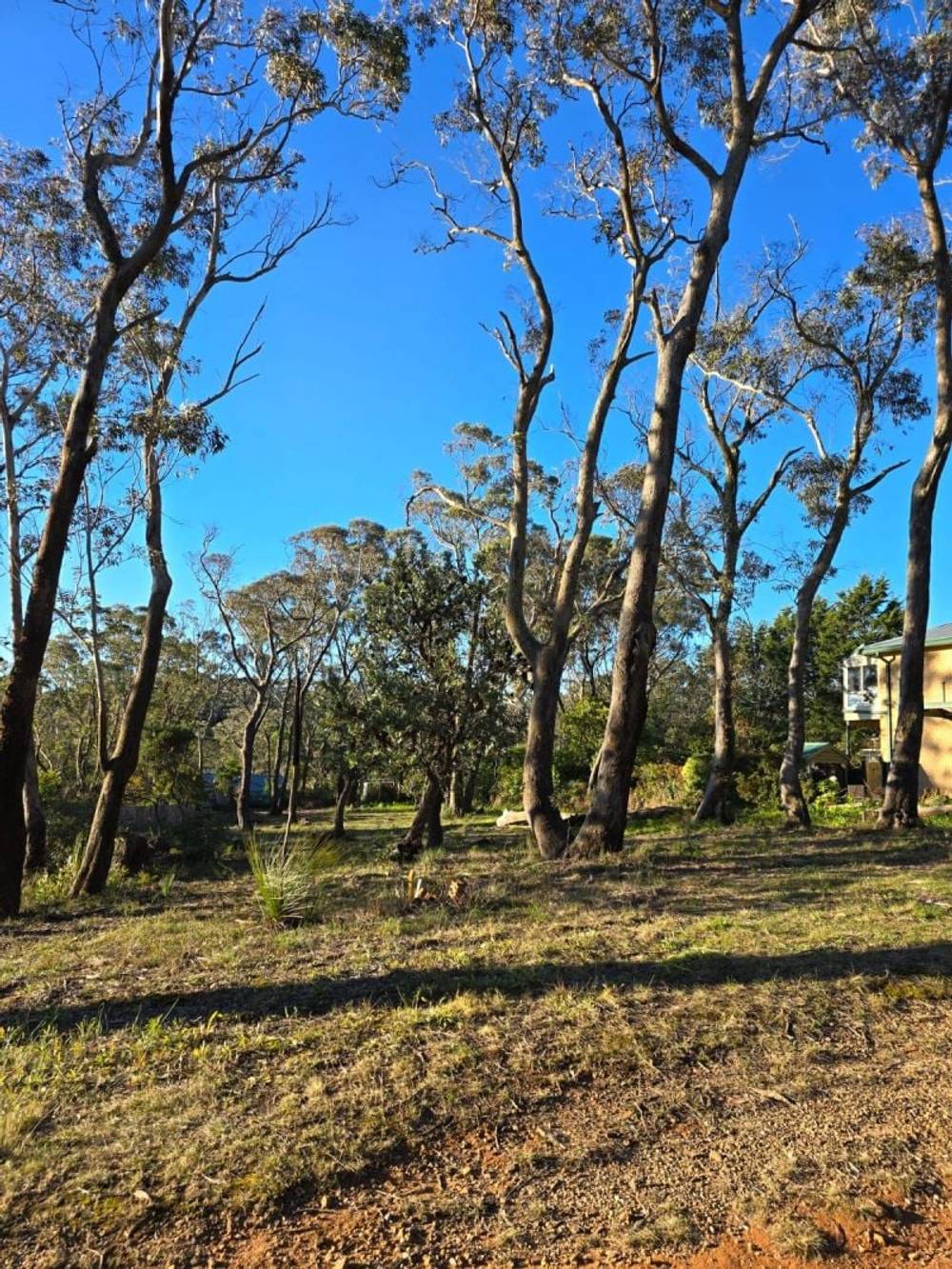 40 Essendene Road, Katoomba, NSW 2780