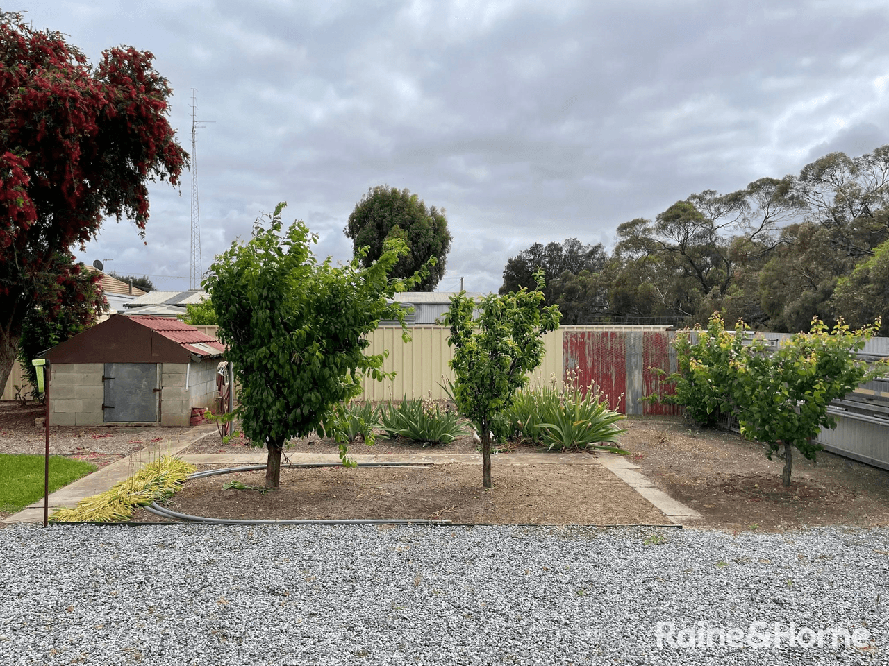 52 Light Road, CUMMINS, SA 5631