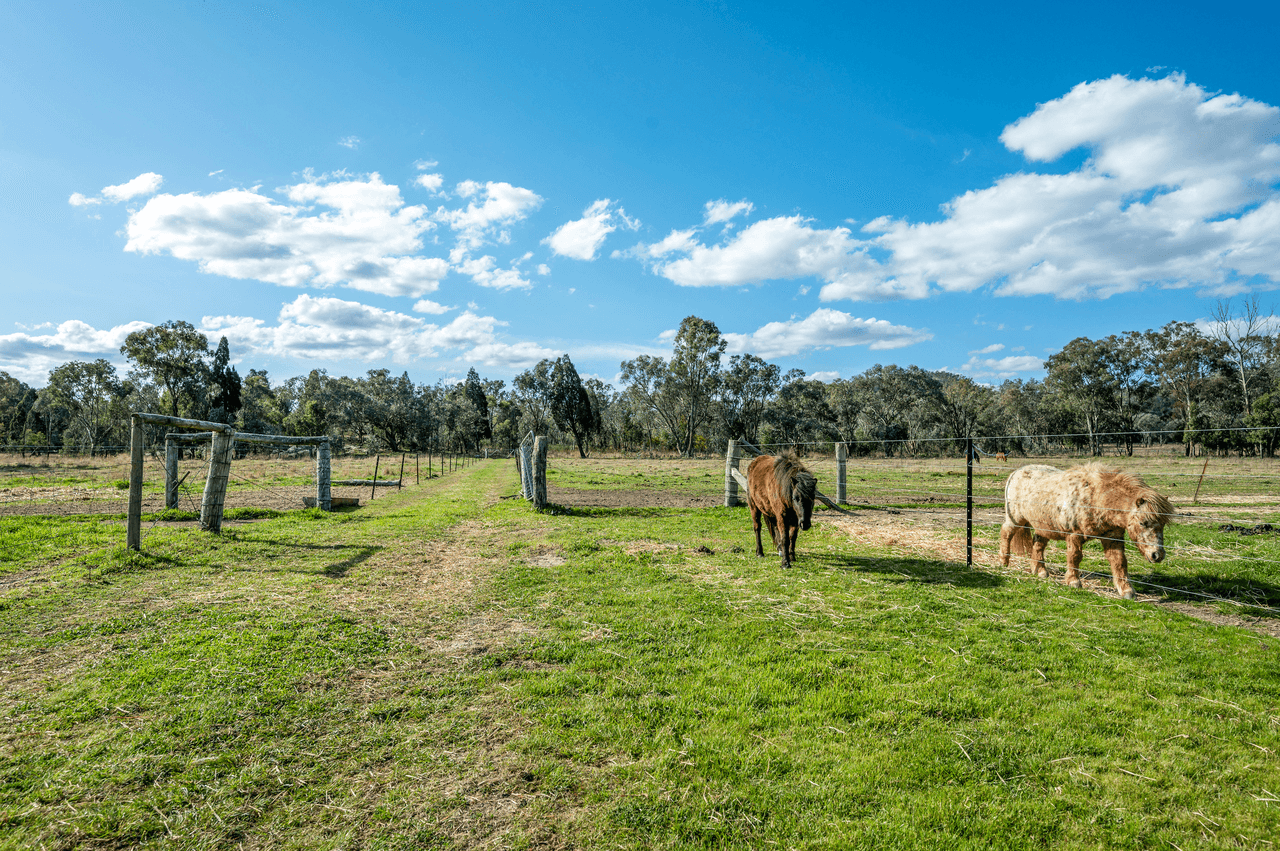 83 Mount View Road, YARRAWONGA, NSW 2850