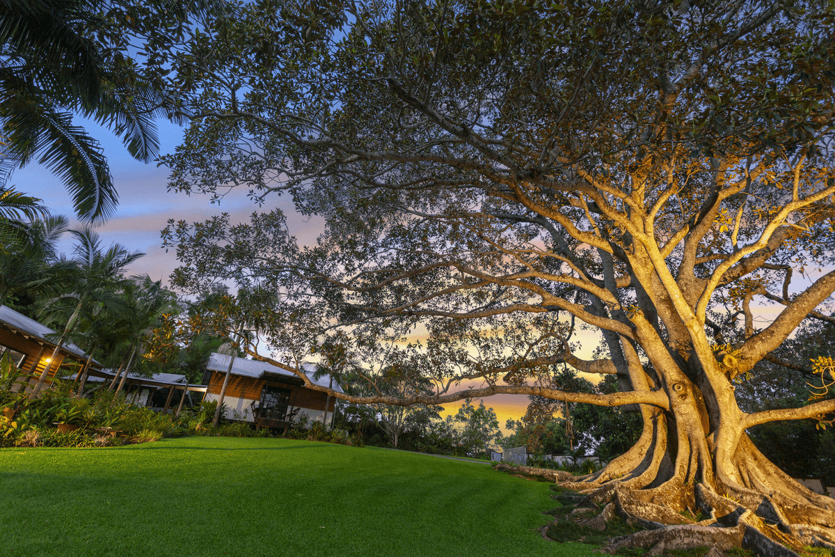 6 Stockyard Court, Tallebudgera, QLD 4228