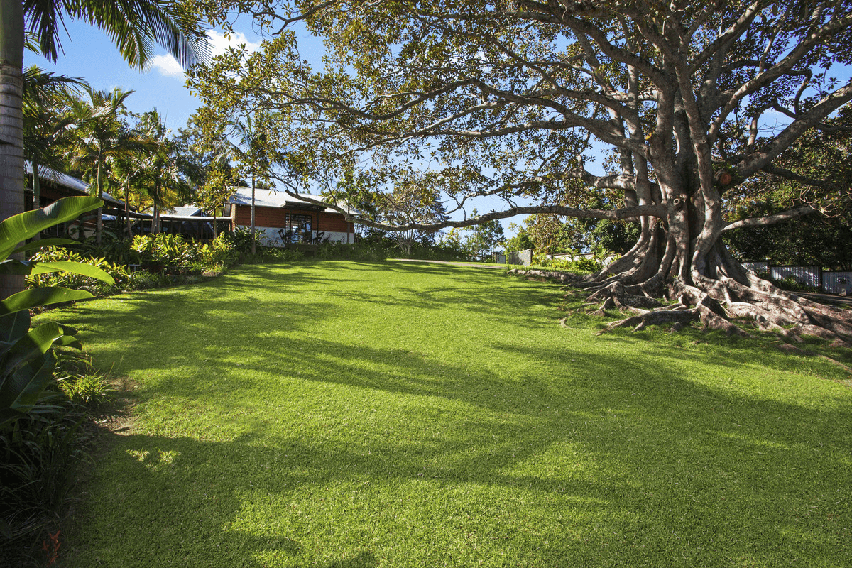 6 Stockyard Court, Tallebudgera, QLD 4228