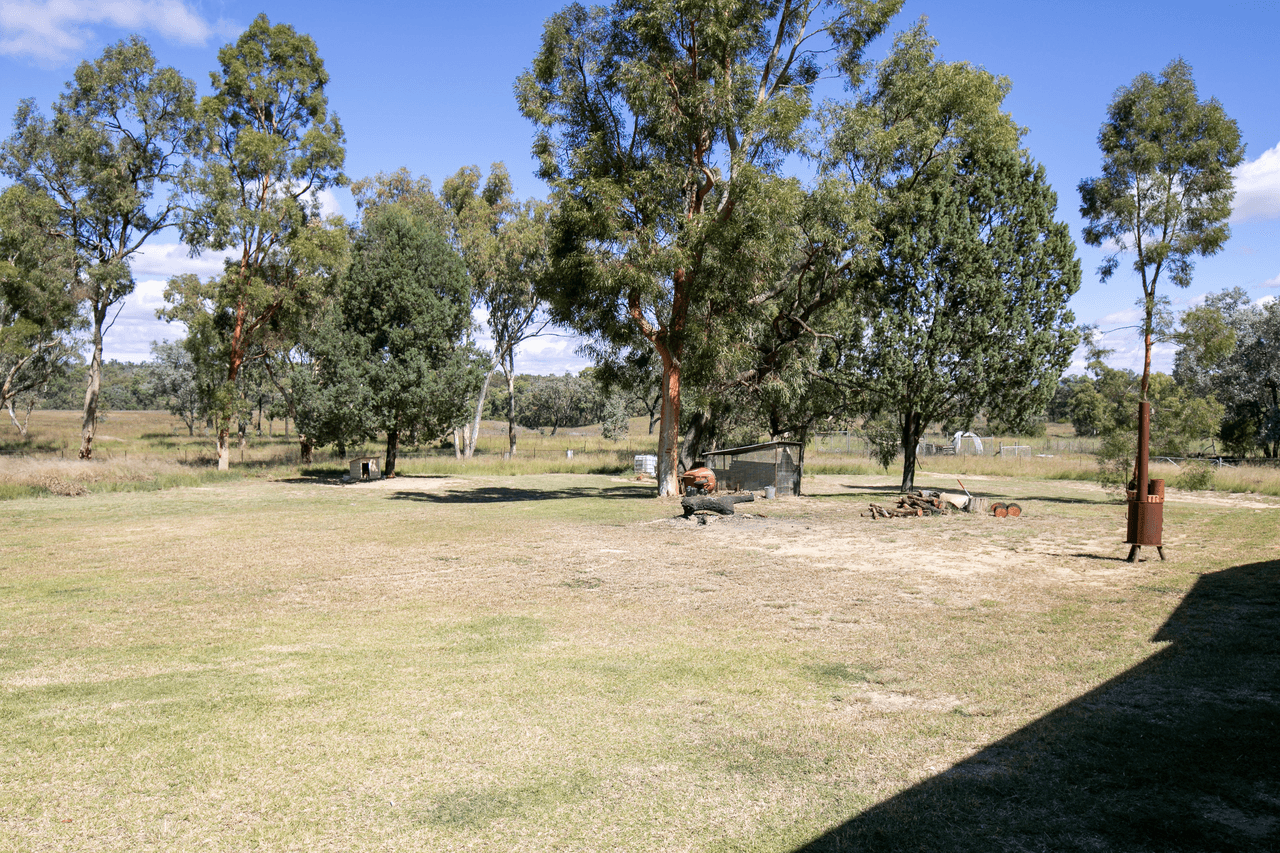 3209 Gragin Road, WARIALDA, NSW 2402