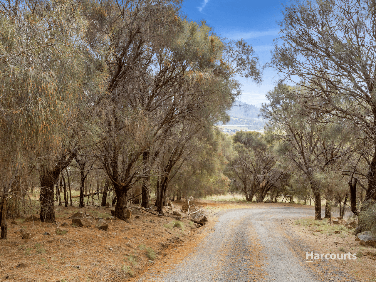 177 Malcolms Hut Road, RICHMOND, TAS 7025