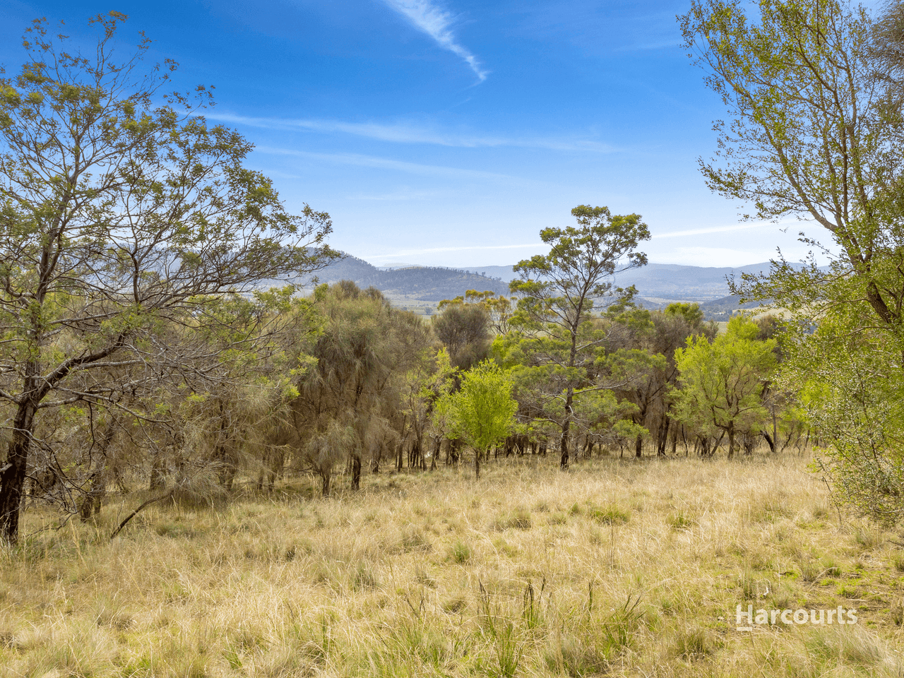 177 Malcolms Hut Road, RICHMOND, TAS 7025