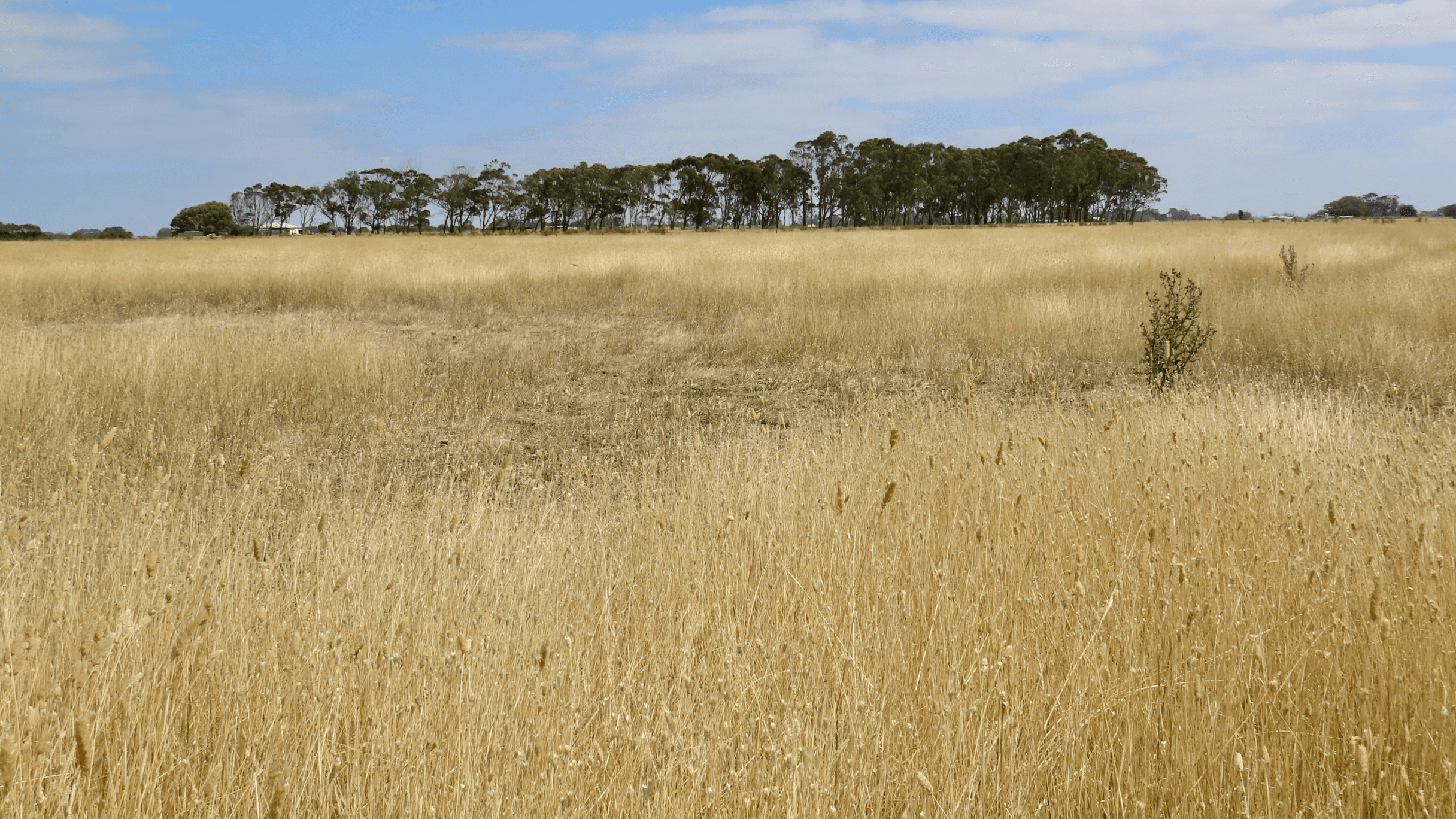 Lot 2 Beaton Road, Tantanoola, SA 5280