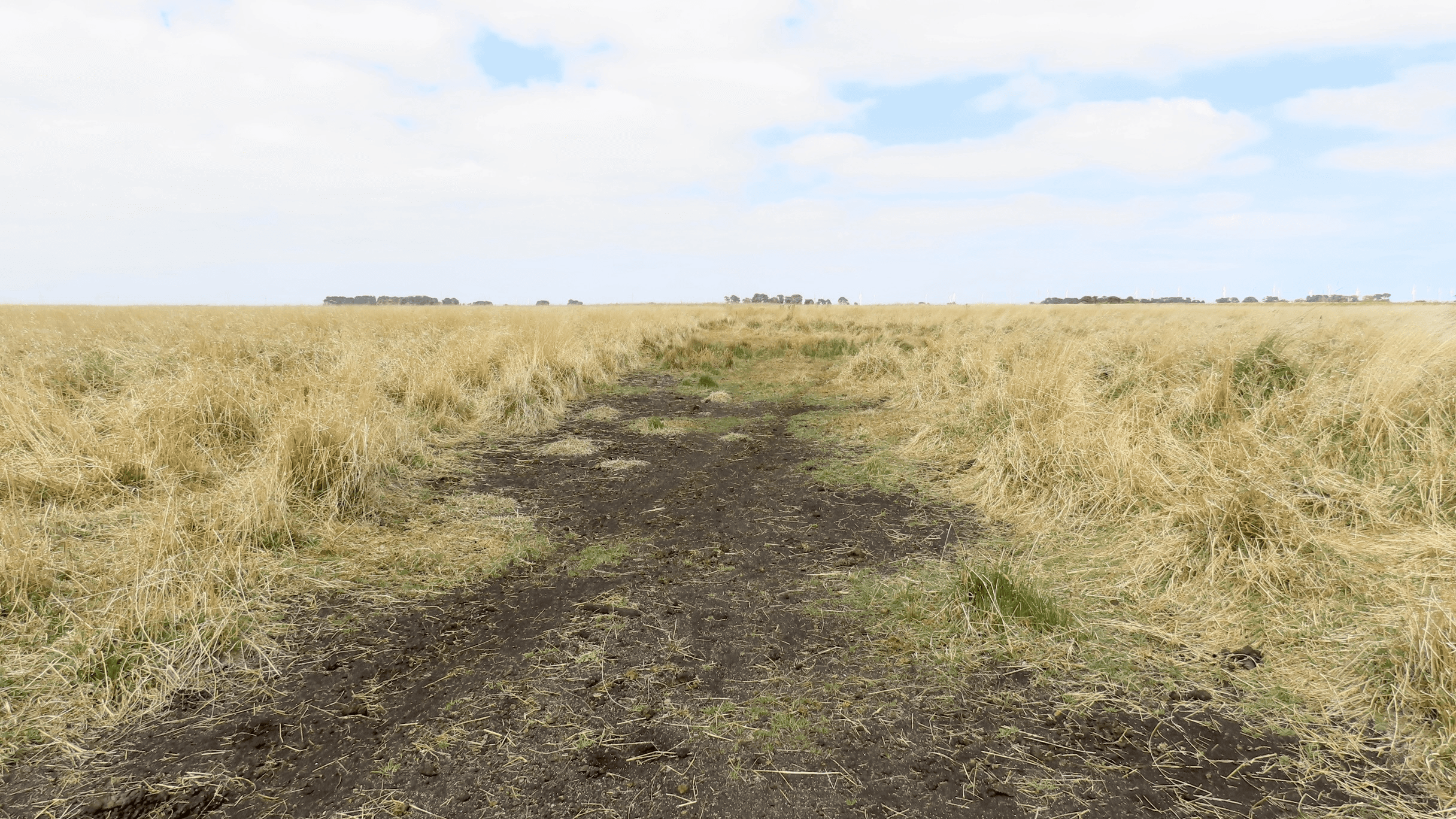 Lot 2 Beaton Road, Tantanoola, SA 5280