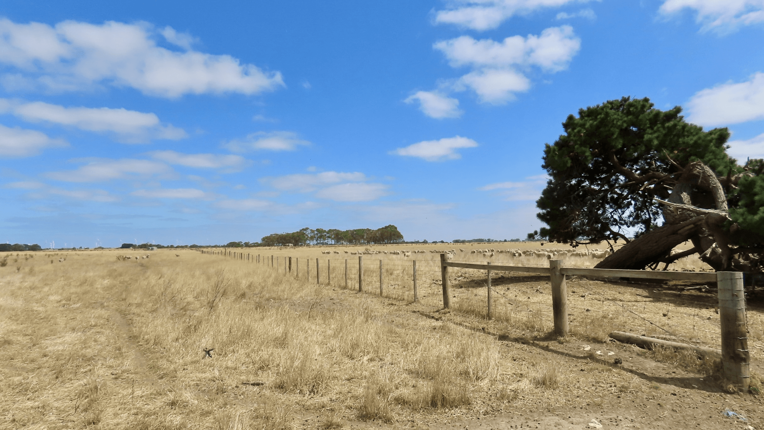 Lot 2 Beaton Road, Tantanoola, SA 5280