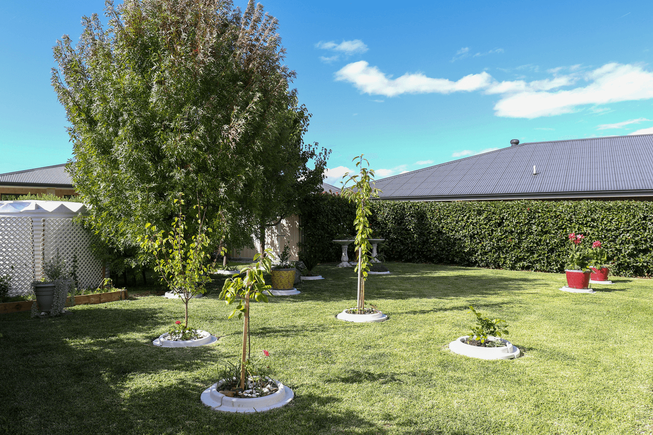 1 Box Tree Place, INVERELL, NSW 2360