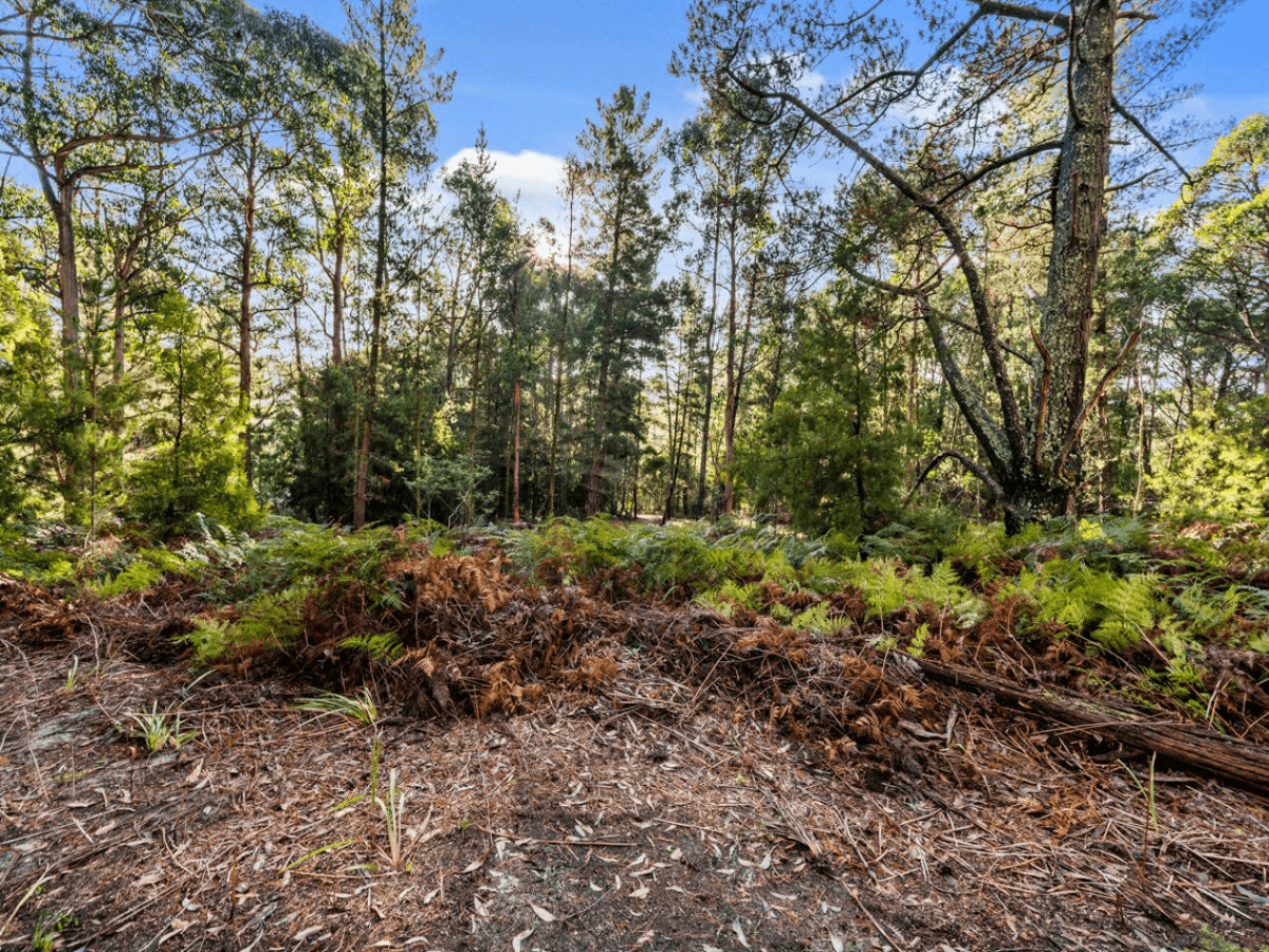 2337 Gordon River Road, NATIONAL PARK, TAS 7140